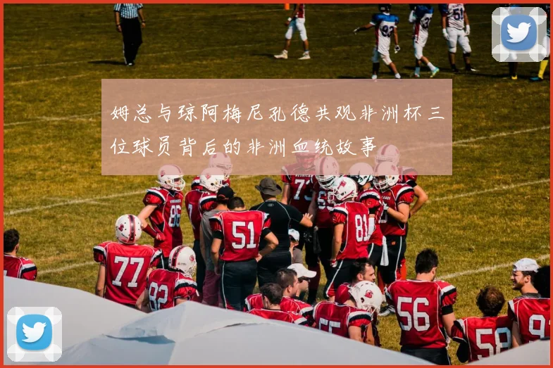 姆总与琼阿梅尼孔德共观非洲杯三位球员背后的非洲血统故事